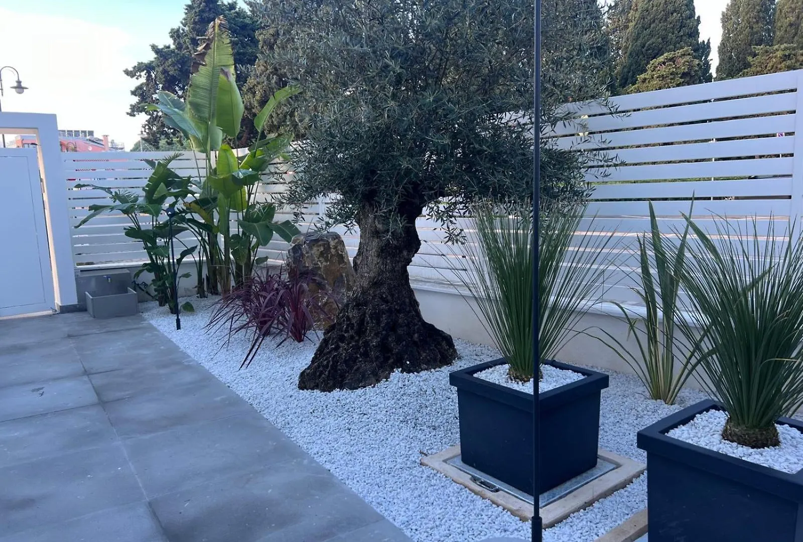 Residenza Clasmarina5 Nuova Costruzione Posizione Strategica Marina di Campo Italy